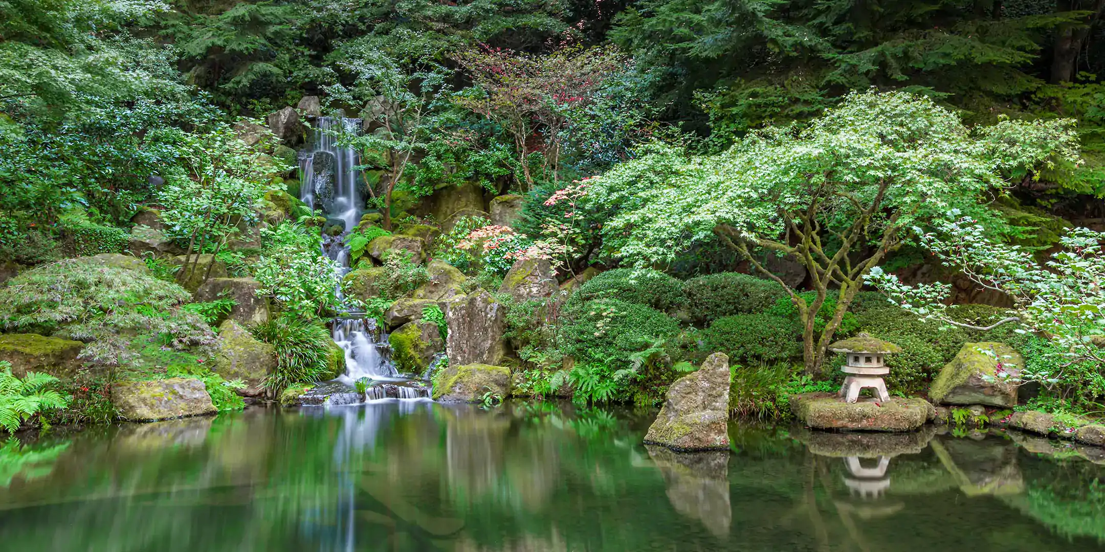Serene pond sorrounded by lush green vegetation