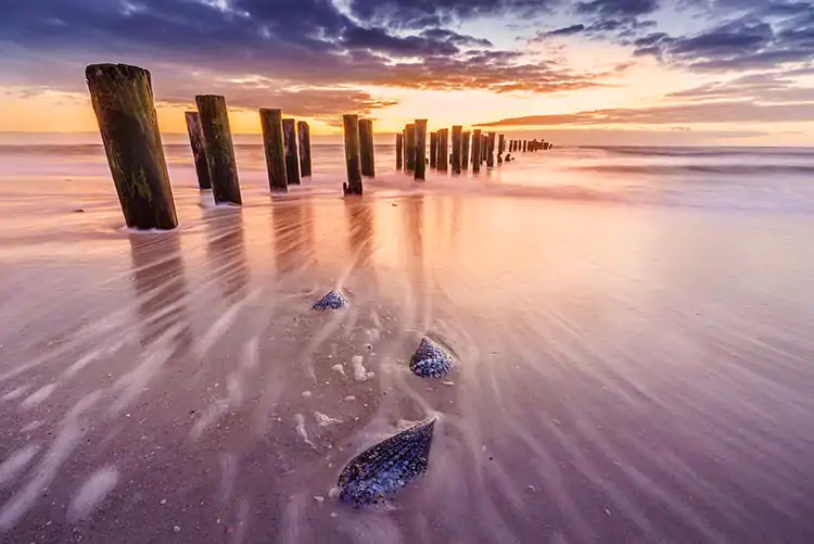 Old pier wood posts on a beach with streaking water and sea shells in foreground.